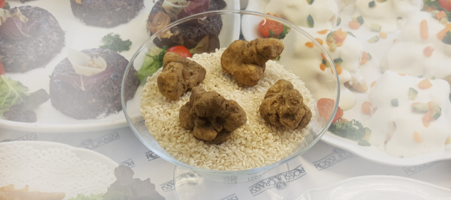 tartufo 1