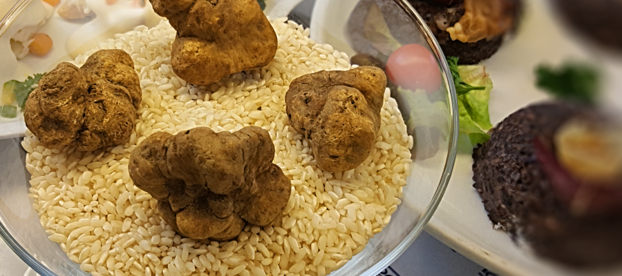 tartufo 2