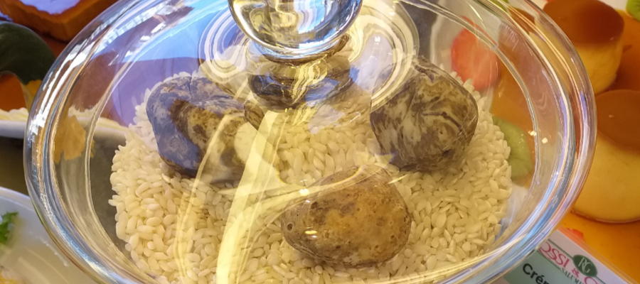tartufo 3