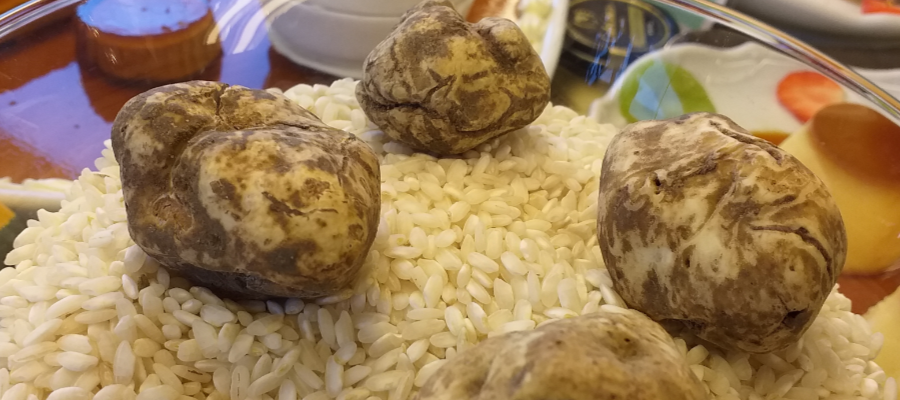tartufo 4